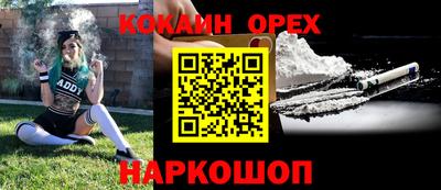 ГАЛЛЮЦИНОГЕННЫЕ ГРИБЫ Кандалакша