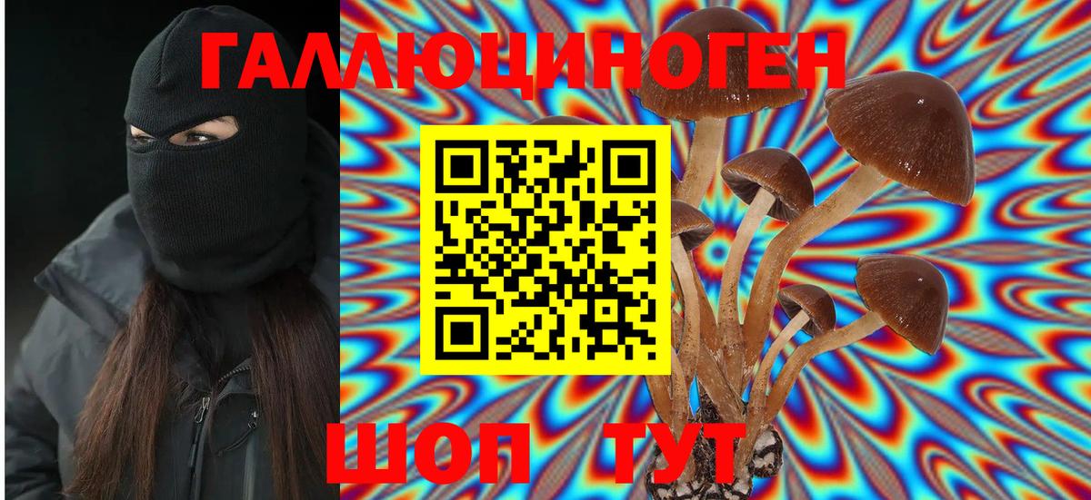 Галлюциногенные грибы GOLDEN TEACHER  Псилоцибиновые грибы ЛСД  Лиски 